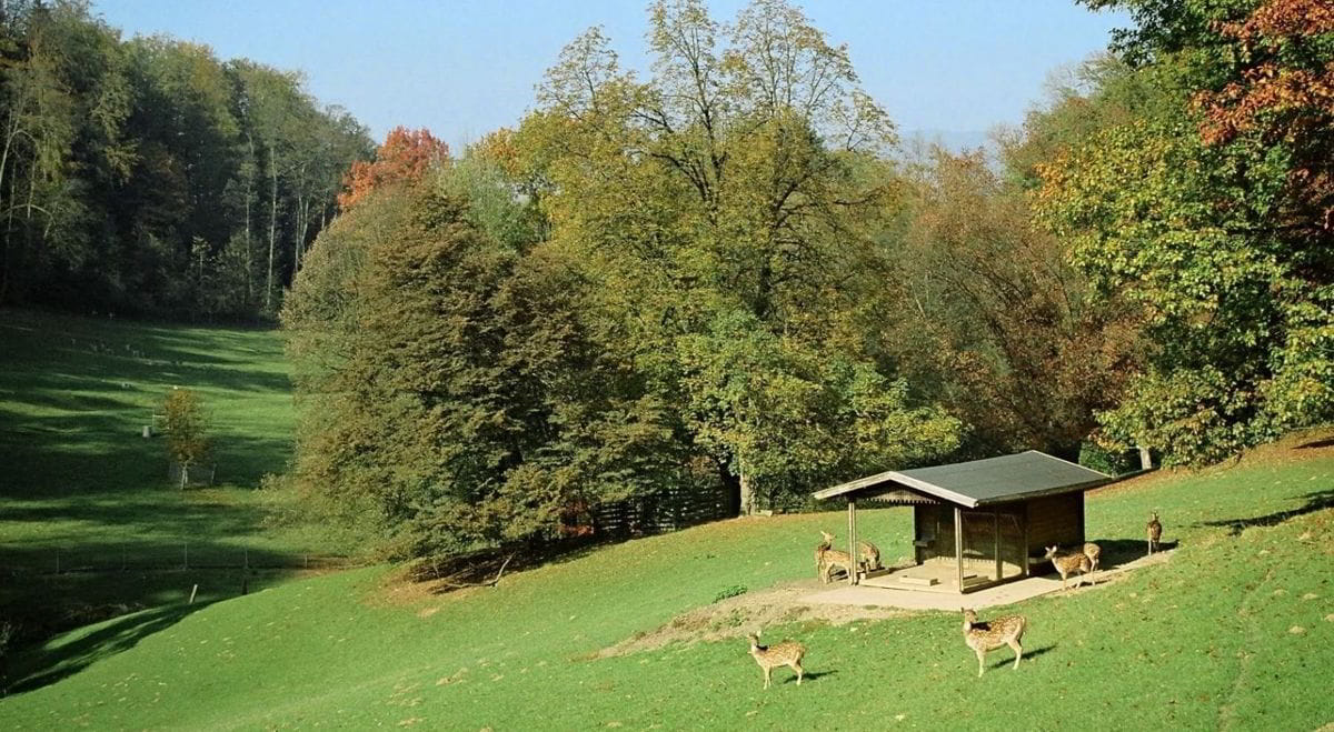 Roggenhausen Wildlife Park