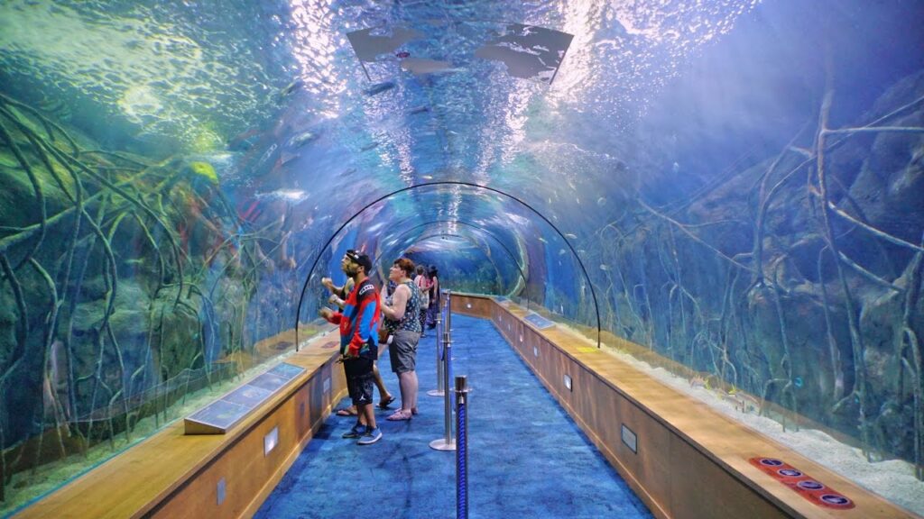 Oceanografic Aquarium (One of the most beautiful places in Valencia)