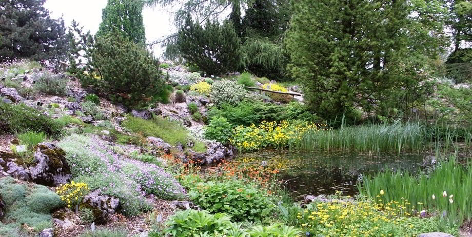 Linz Botanical Garden