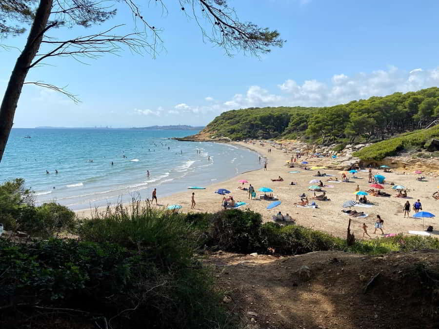 Cala de la Roca Plana - Best beaches in Tarragona Spain