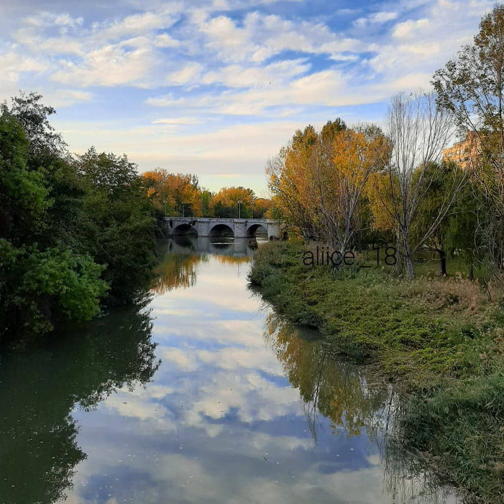 Puentes de Palencia (Bridges of Palencia)