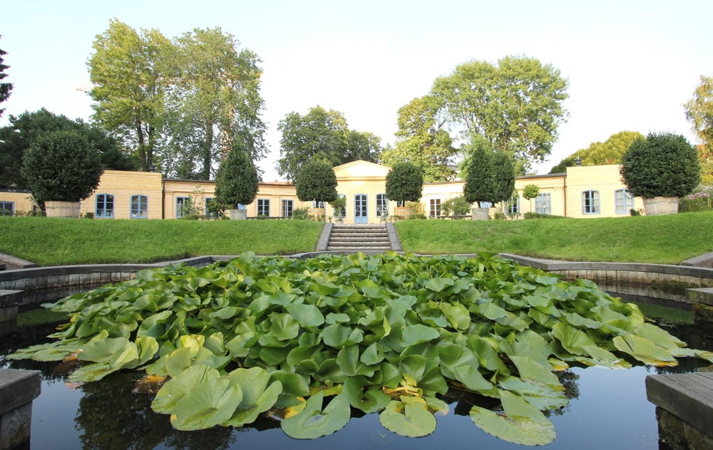 Linnaeus garden