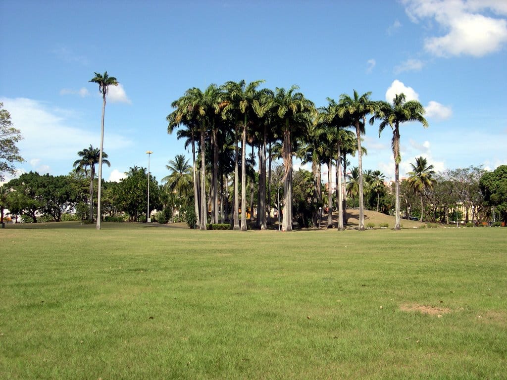 The Savannah Park in Fort-de-France Martinique