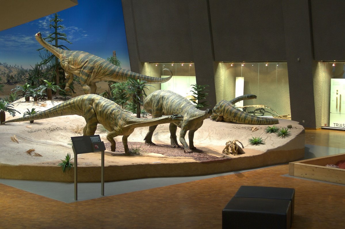 Natural History Museum Reutlingen